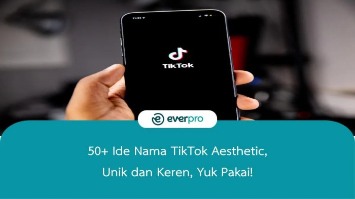 Saran Nama Tik Tok Aesthetic