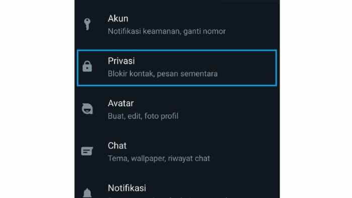 Cara Membuat Bio Wa Kosong Tanpa Aplikasi