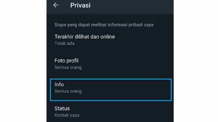 Cara Membuat Bio Wa Kosong Tanpa Aplikasi