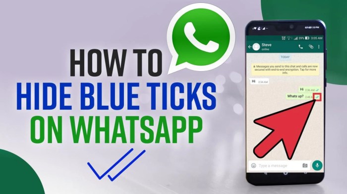 Menghilangkan Centang Biru Di Whatsapp