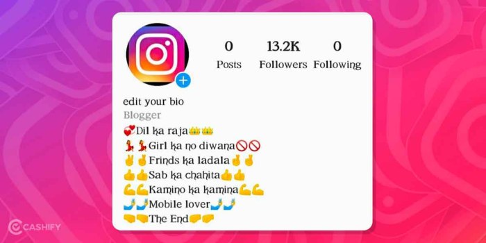 Cara Bikin Bio Ig Keren