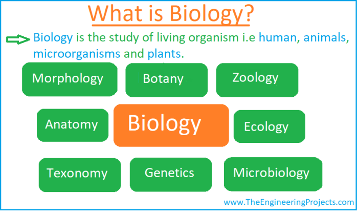 Biology english