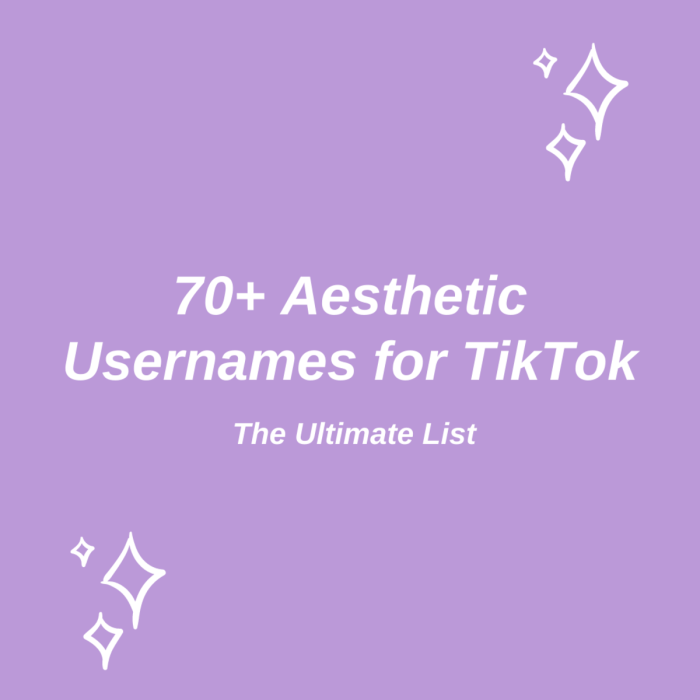 Saran Nama Tik Tok Aesthetic