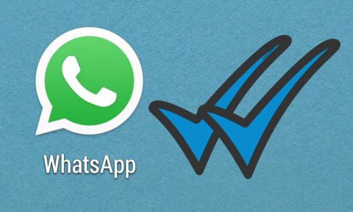 Cara Mengubah Centang Biru Di Whatsapp Dengan Emoticon