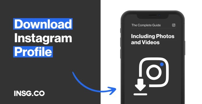Cara Download Profil Ig Tanpa Aplikasi