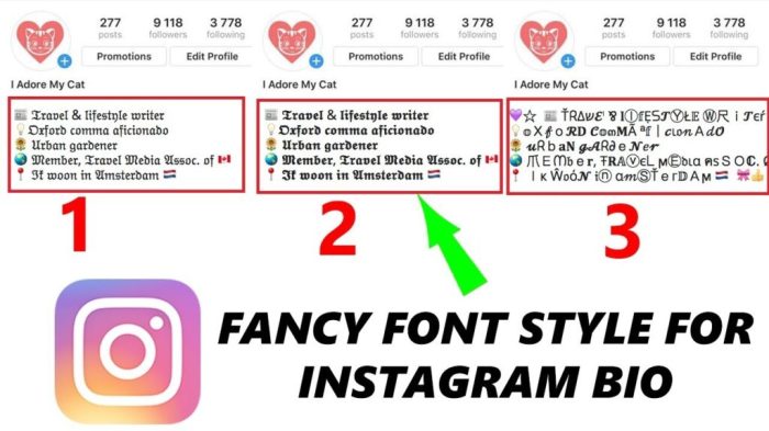 Cara Merubah Font Di Ig