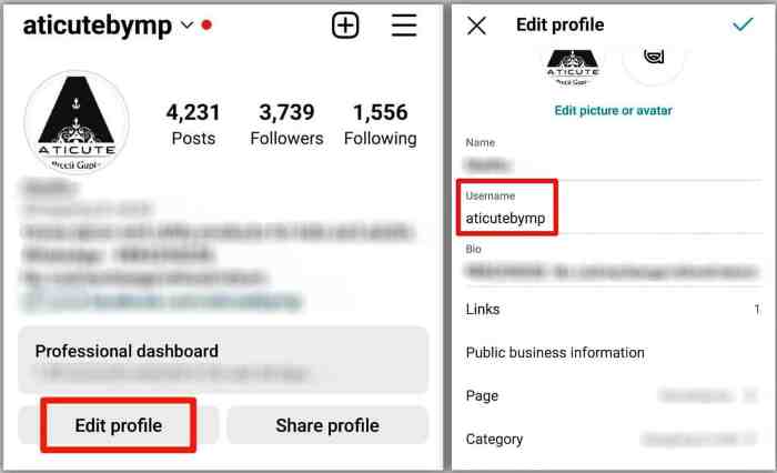 Cara Copy Link Profil Instagram Sendiri