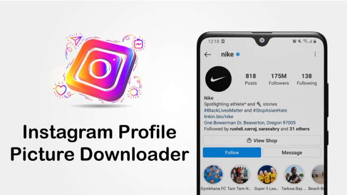 Aplikasi Download Foto Profil Instagram