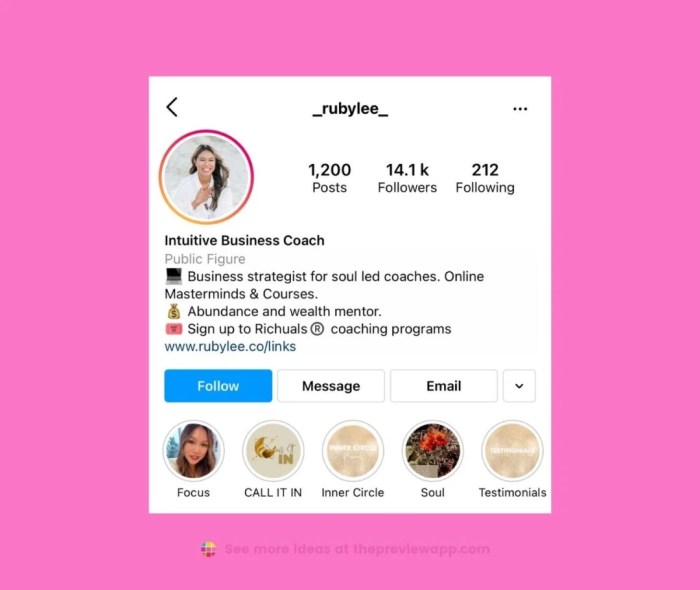 Cara Membuat Bio Di Ig