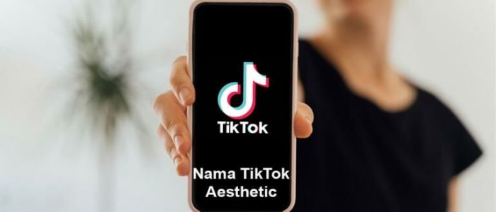 Saran Nama Tik Tok Aesthetic