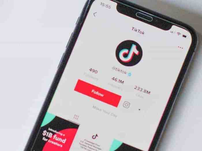 Kata-Kata Bio Tiktok Keren