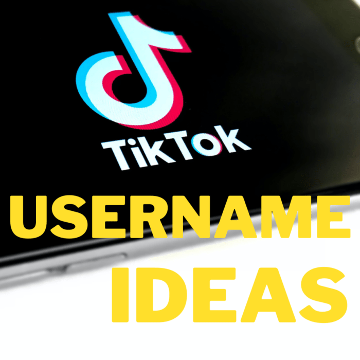 Nama Untuk Tiktok Yang Bagus